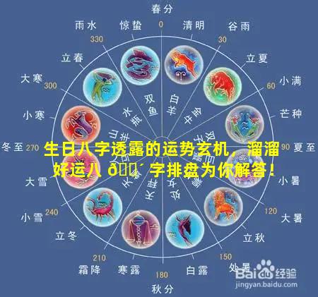 生日八字透露的运势玄机，溜溜好运八 🌴 字排盘为你解答！
